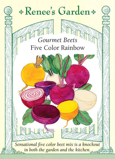 Gourmet Beets Five Color Rainbow