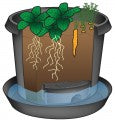 Metro Grower 10 gallon self-watering container