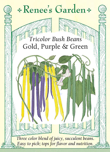 TriColor Bush Beans