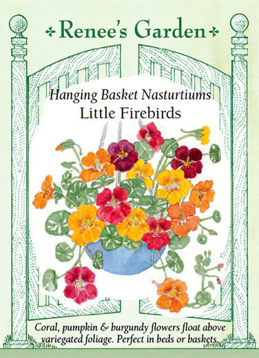 Hanging Basket Nasturtiums Little Firebirds