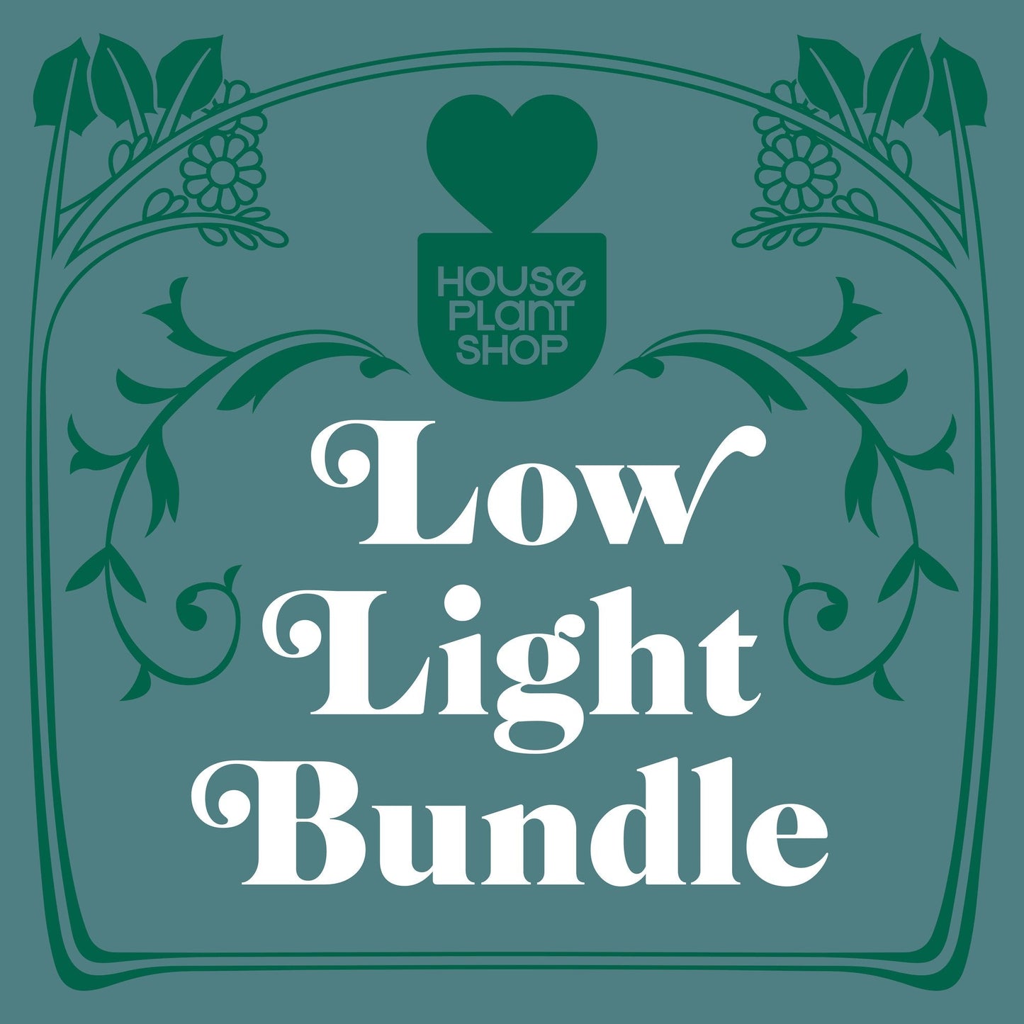Low Light Bundle