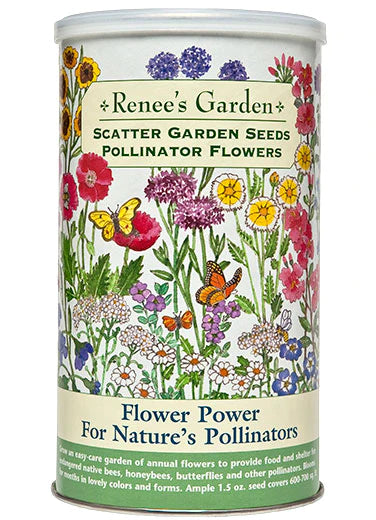 Flower Power For Nature's Pollinators