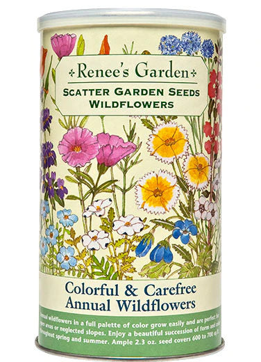 Colorful & Carefree Annual Wildflowers