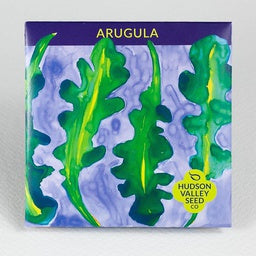 Arugula - Bright and potent green, delectable in the cooler months