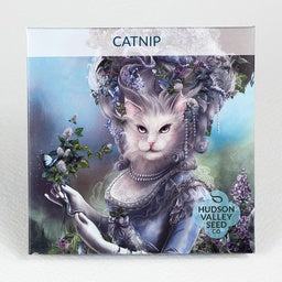 Catnip - A treat for all beloved kitties. Relaxes humans Too!