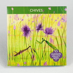 Chives - Edible, ornamental, and perennial, these hardy culinary clusters are an easy and essential part of every kitchen garden