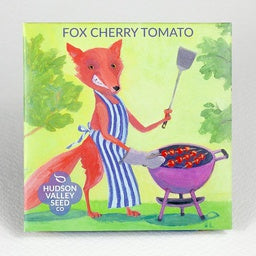 Fox Cherry Tomato - Perfect, plump, salad-sized red tomatoes