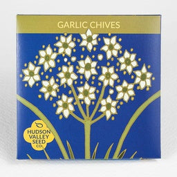 Garlic Chives - One of the first spring herbs in the spring gives way to pretty white flowers in the summer
