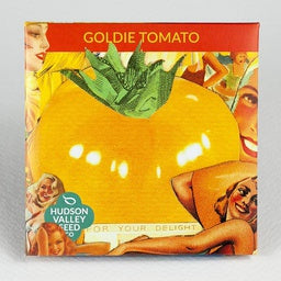 Goldie Tomato - Heirloom tomato pinup-sweet, glowing, meaty and juicy