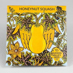 Honeynut Squash - Compact, charming butternuts are perfect for everday use