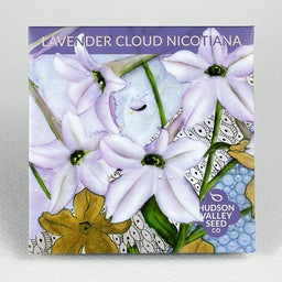 Lavendar Cloud Nicotiana - Very fragrant night-blooming annual in shades of lavendar and white. 48" tall. Start early.