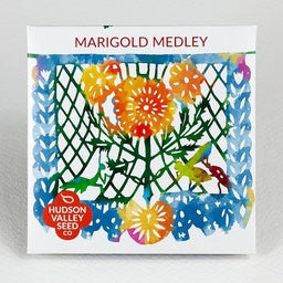 Marigold Medley - Bring your garden to life with this mix of festive marigolds