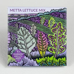 Meta Lettuce Mix - A mix of colors and textures for baby leaf lettuce. Enjoy all season long. Direct Sow.