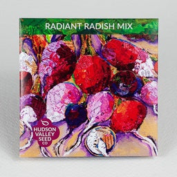 Radiant Radish Mix - Bright, crisp, sweet, and colorful, this mix announces the beginning of fresh culinary delights