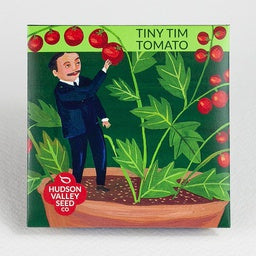 Tiny Tim Tomato - Well suited for tiny growing spaces