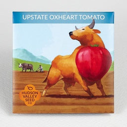 Upstate Oxheart Tomato - These tomatoes are a handful