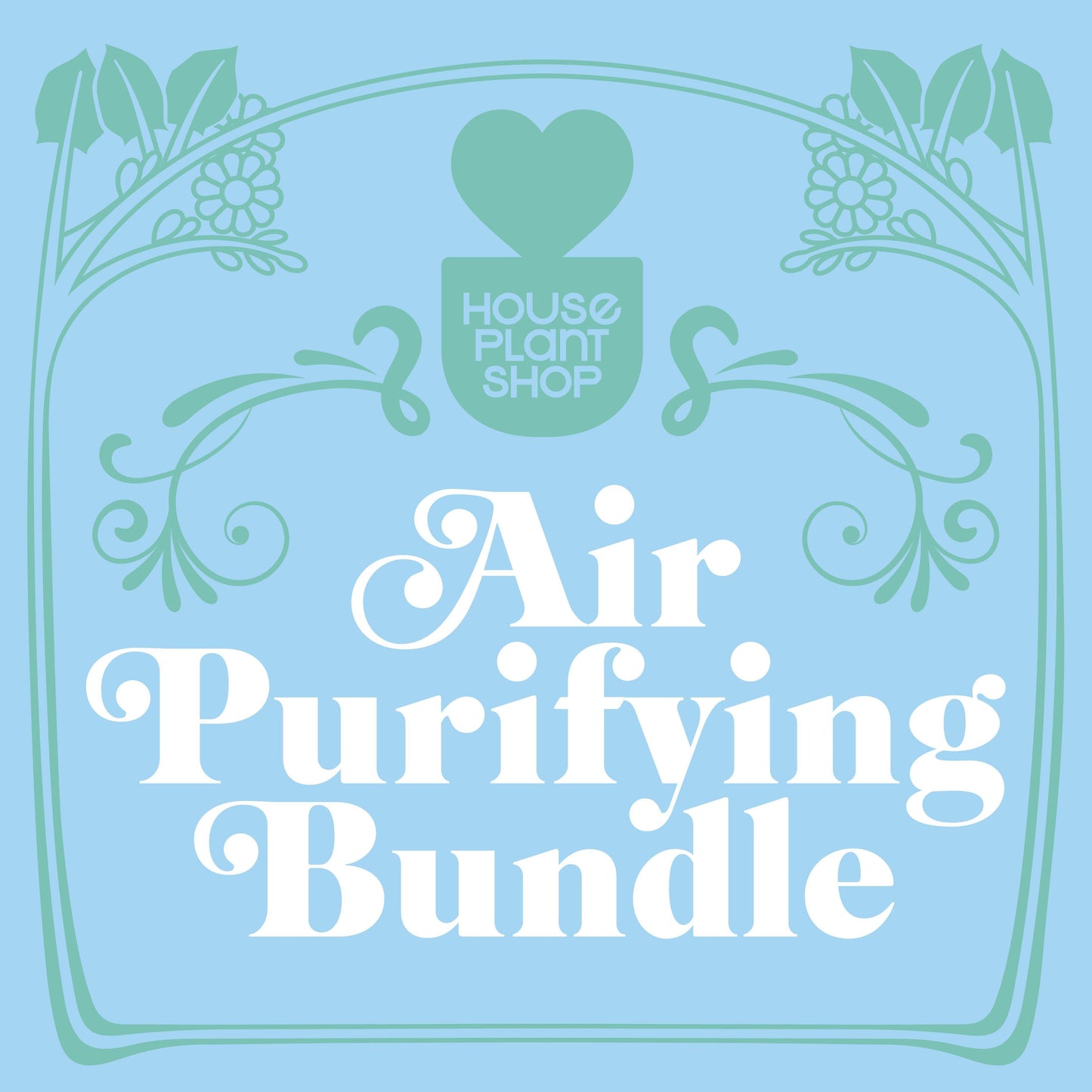 Air Purifying Variety Bundle