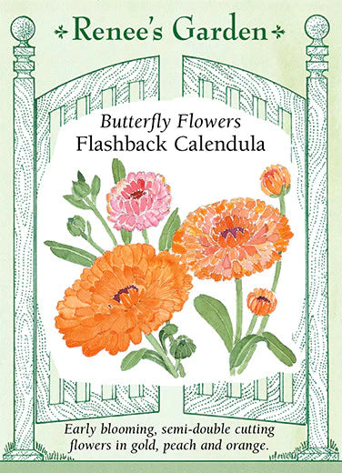 Butterfly Flowers Flashback Calendula