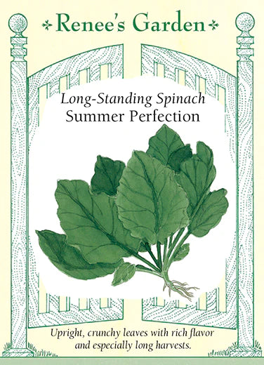 Long-Standing Spinach Summer Perfection