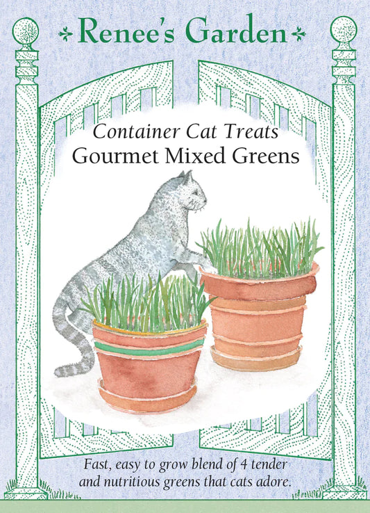 Container Cat Treats Gourmet Mixed Greens