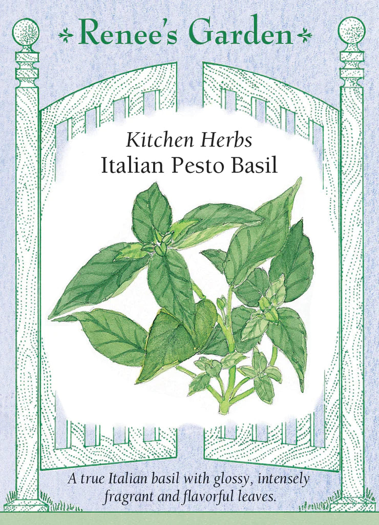 Kitchen Herbs Italian Pesto Basil