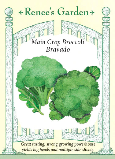 Main Crop Broccoli Bravado