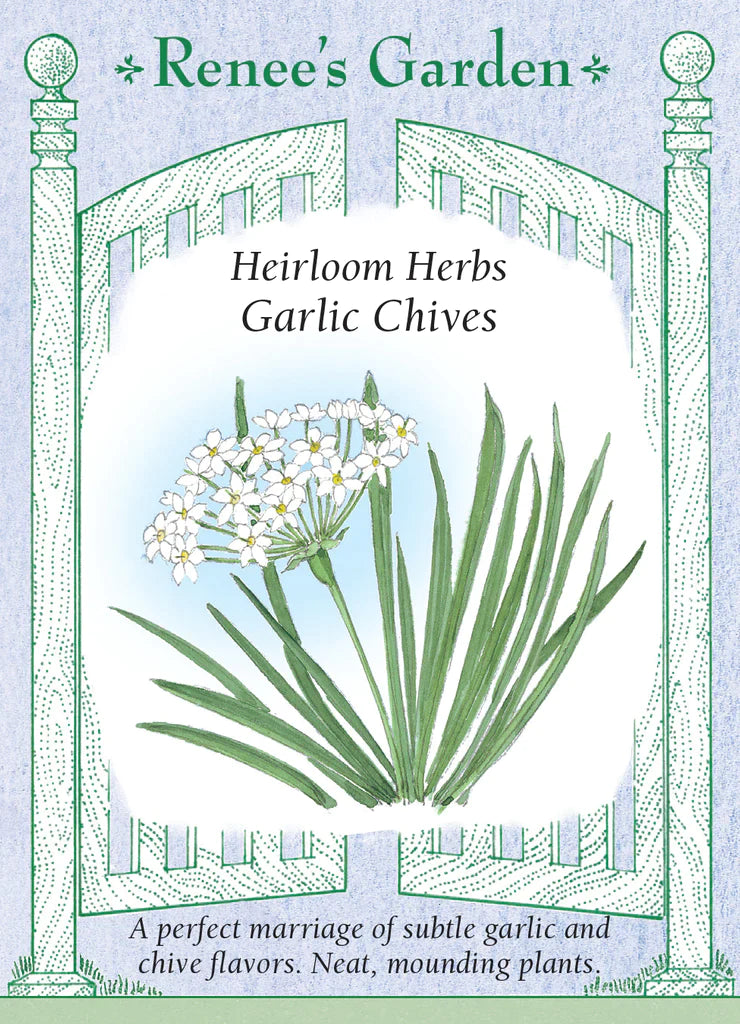 Heirloom Herbs Garlic Chives