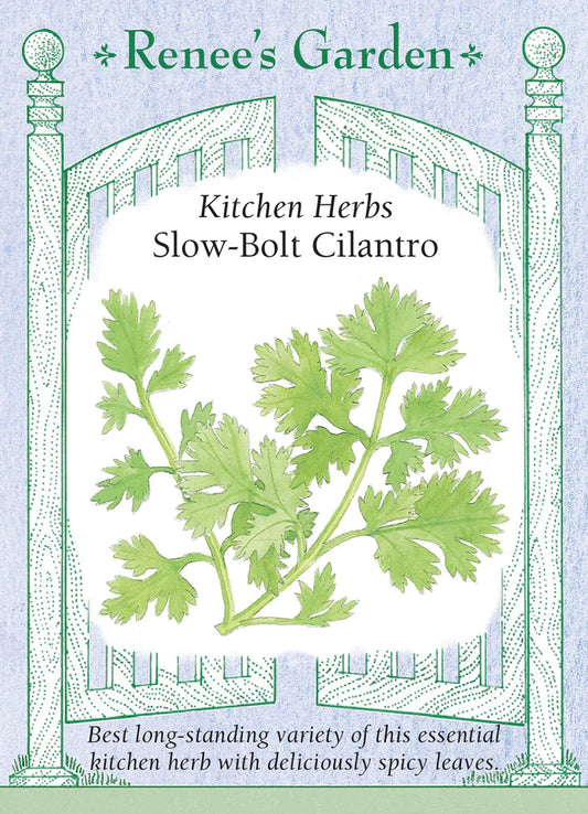 Kitchen Herbs Slow-Bolt Cilantro