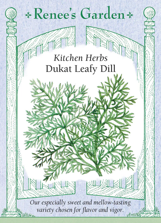 Kitchen Herbs Dukat Leafy Dill