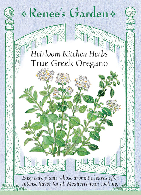 Heirloom Kitchen Herbs True Greek Oregano