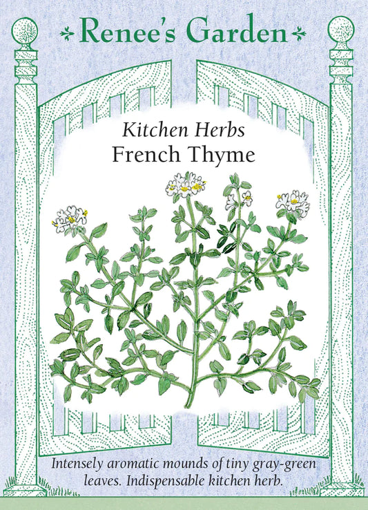 Kitchen Herbs French Thyme