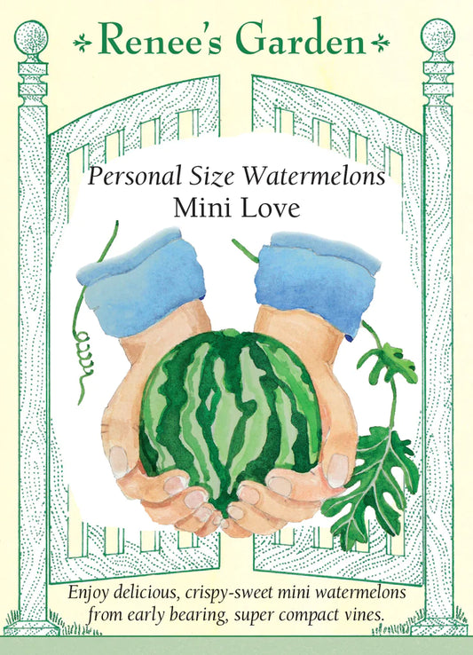 Personal Size Watermelons Mini Love