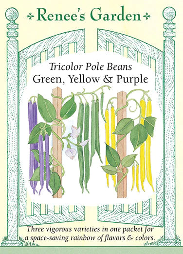 Tricolor Pole Beans Green, Yellow & Purple