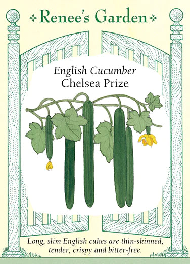 English Cucumber Chelsea Prize