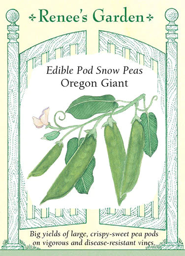 Edible Pod Snow Peas Oregon Giant