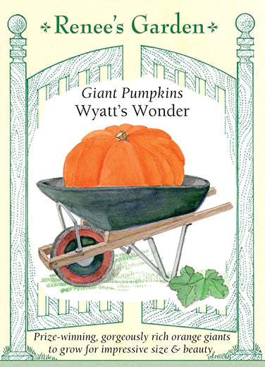 Giant Pumpkins Wyatt's Wonder