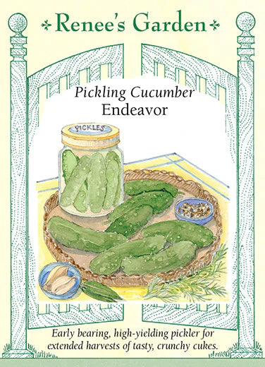 Pickling Cucumber Endeavor
