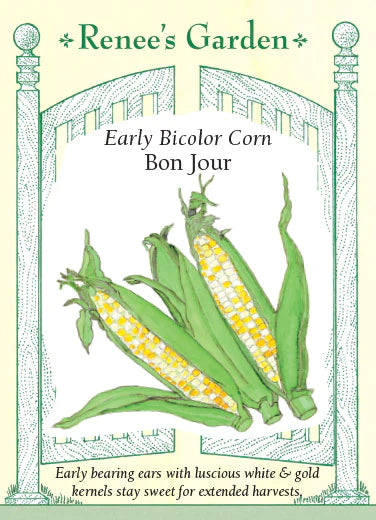 Early Bicolor Corn Bon Jour