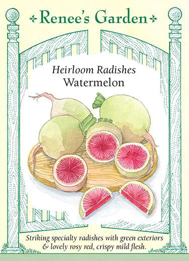 Heirloom Radishes Watermelon