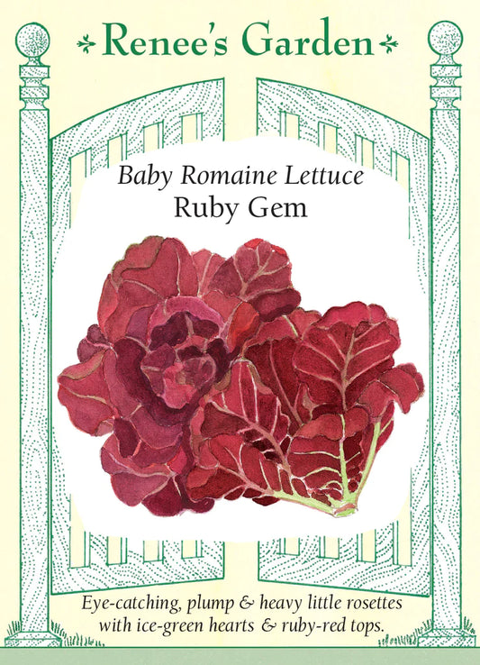 Baby Romaine Lettuce Ruby Gem