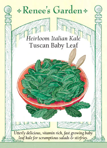 Heirloom Italian Kale Tuscan Baby Leaf